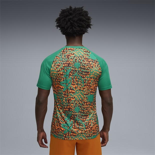 Green/Brown - Puma - Mens Ivory Coast Warm-Up Shirt World Cup 2026