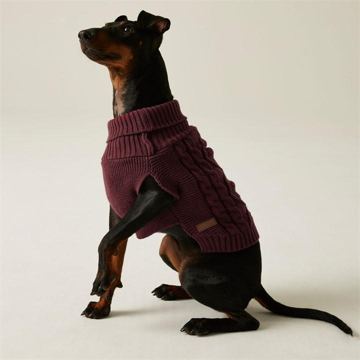 Regatta Unisex Red Dog Jumper Large