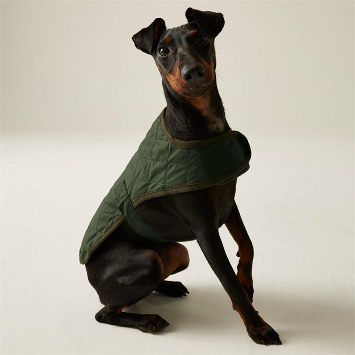 Regatta  Green Odie Dog Coat in Size L, Sports Direct