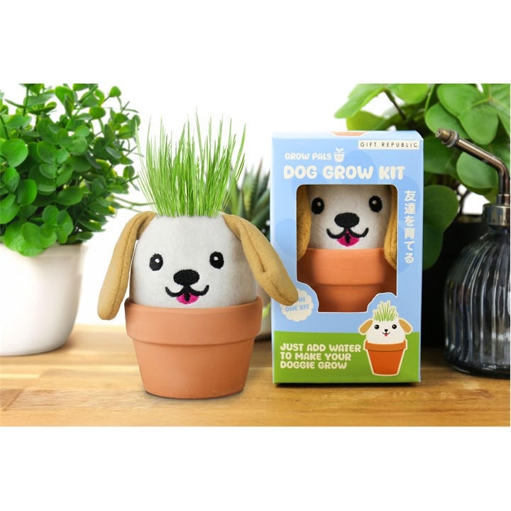 Gift Republic   Dog Grow Kit – Grow Pals, Sports Direct