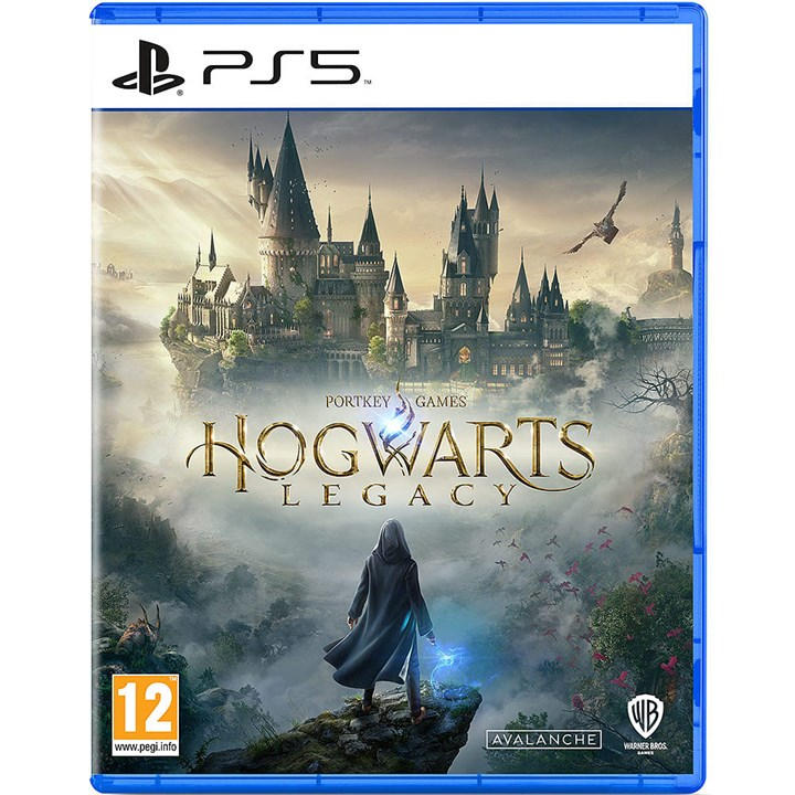 Harry Potter None Hogwarts Legacy -