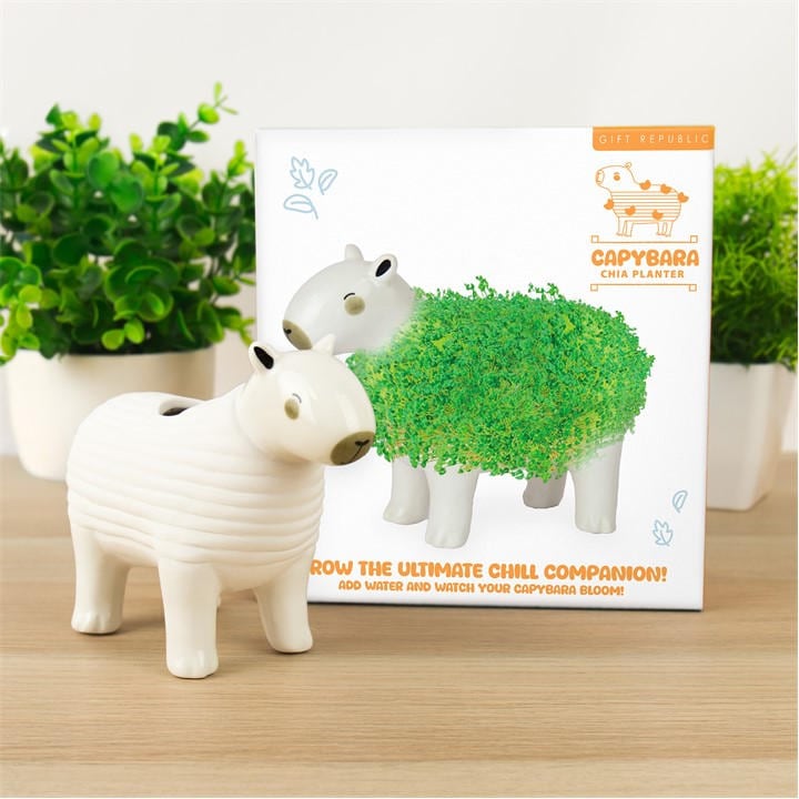 Gift Republic   Capybara Chia Planter, Sports Direct