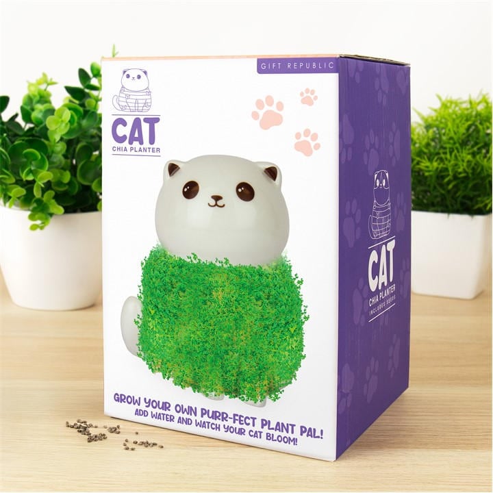 Gift Republic   Cat Chia Planter, Sports Direct