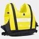 Sulphur