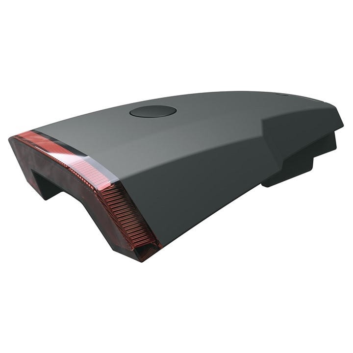 forest    Rowdy Mudguard Rear Light, Football by SKS, Sports Direct