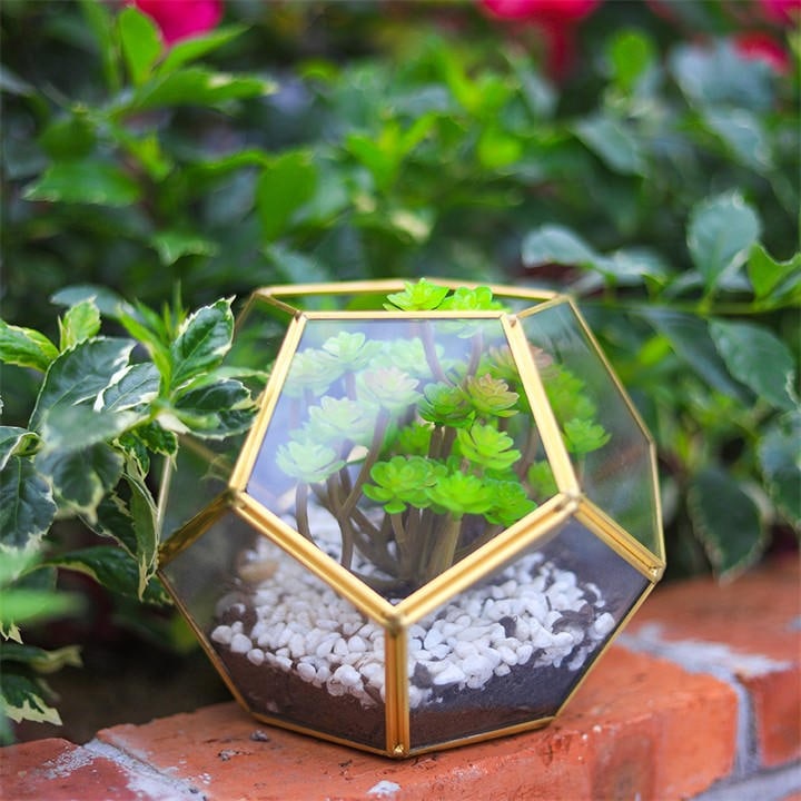 Life Ideas  Clear Dodecahedron Geometric Glass Terrarium, Sports Direct