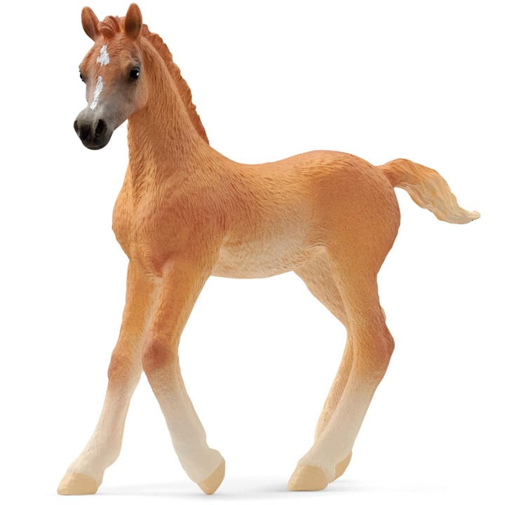 Schleich  Kids  Horse Club Arab Foal Toy, Sports Direct