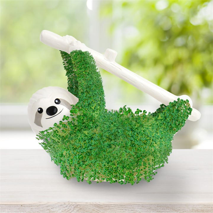 Gift Republic  White Sloth Planter Grow Your Own Chia Pet, Sports Direct