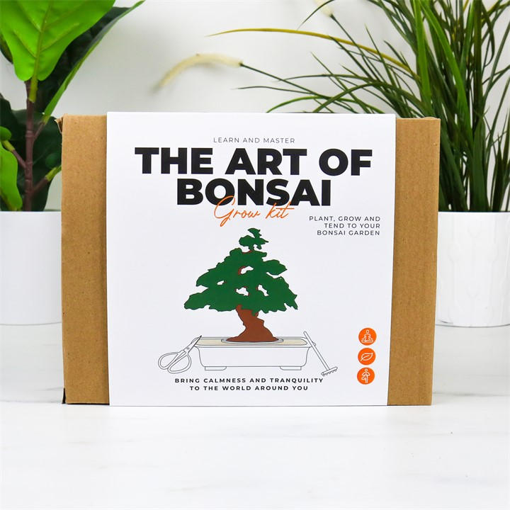 Gift Republic  White The Art Of Bonsai Grow Kit, Sports Direct