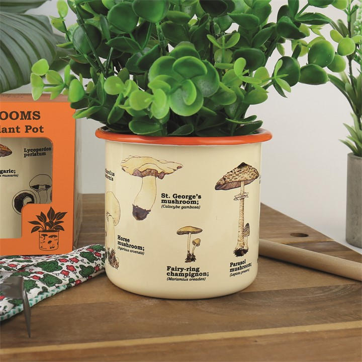Gift Republic  White Mushrooms Enamel Plant Pot, Sports Direct
