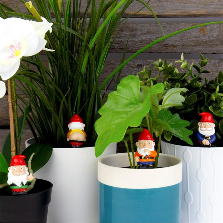 Gift Republic  Black Mini Plant Pot Naughty Gnomes, Sports Direct