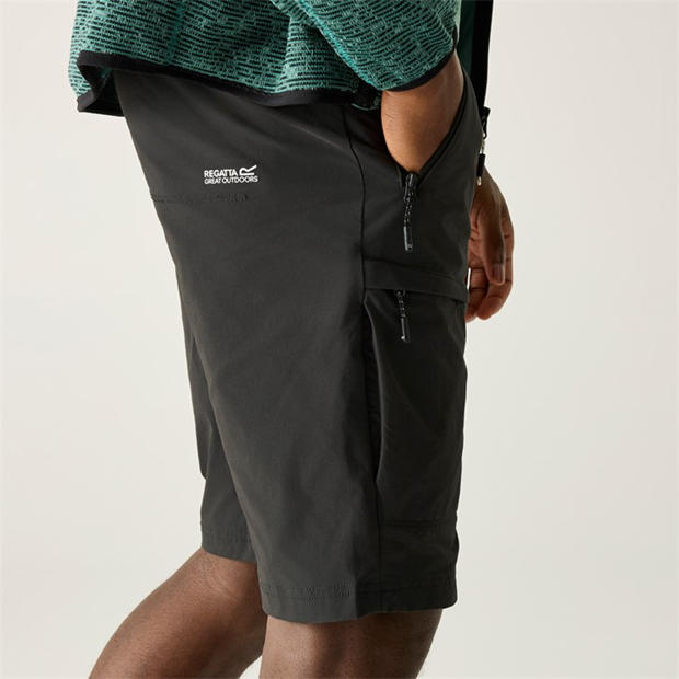Ash - Regatta - Men's Highton Short Walking Shorts