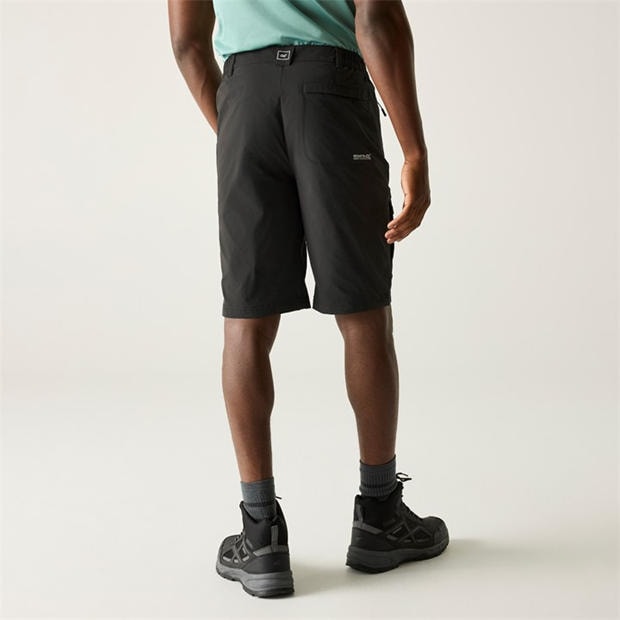 Ash - Regatta - Men's Highton Short Walking Shorts