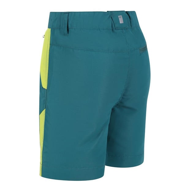 PacifG/BrKiw - Regatta - Unisex Kids SorcerMountS Walking Shorts