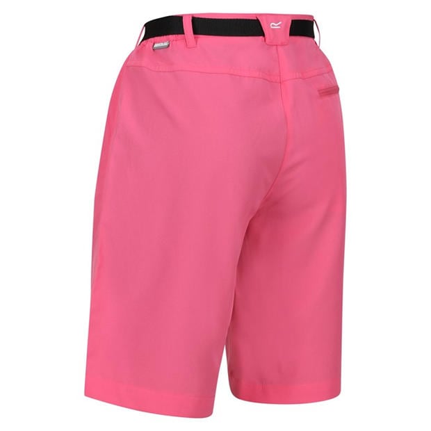 Fruit Dove - Regatta - Women's Walking Shorts