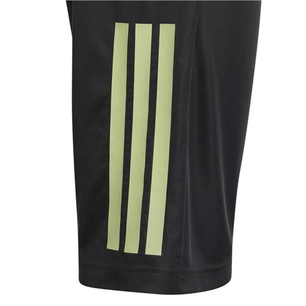 Frozen Lemon - adidas - Sereno Training Shorts Juniors