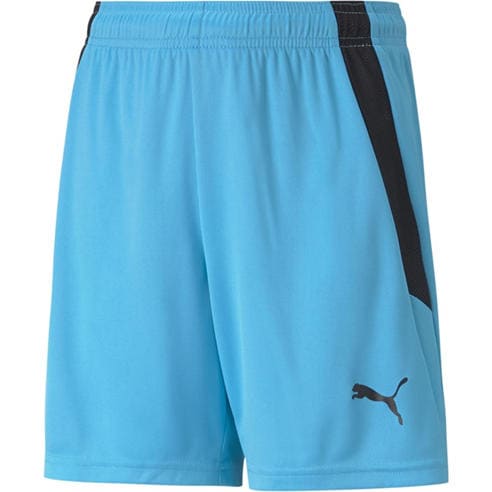 Puma - Puma Teamliga Shorts Jr Football Short Unisex Kids