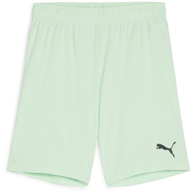 FreshMint-Black - Puma - Puma Teamgoal Shorts Jr Football Short Unisex Kids