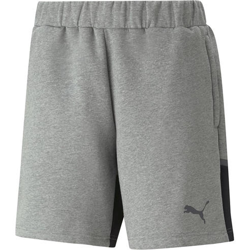 Puma - Puma Teamcup Casuals Shorts Football Short Mens