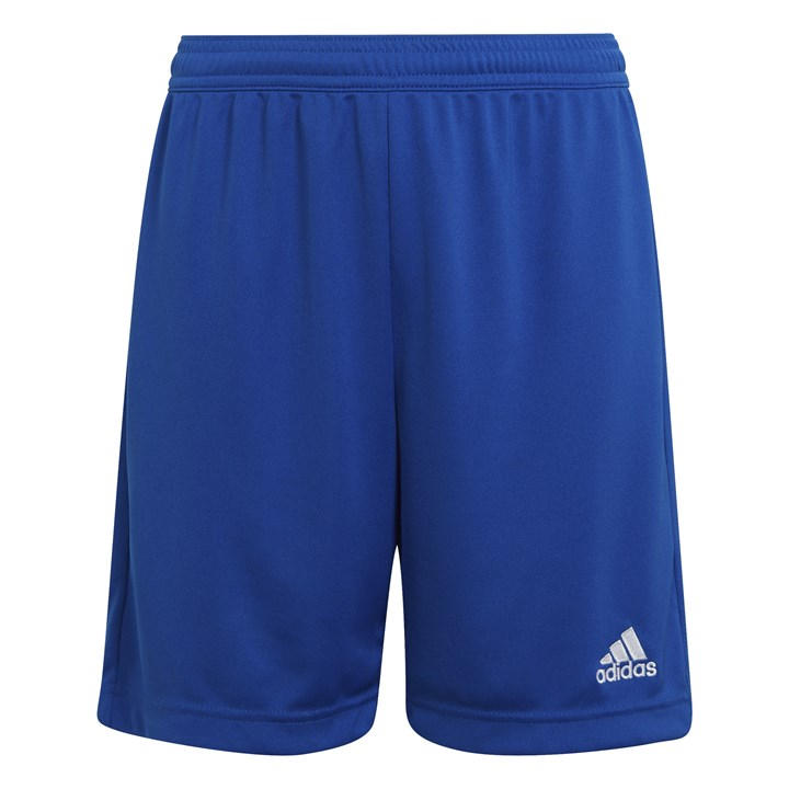 Adidas  Kids Blue Ent22 Shorts  in Size 13 - 14 Years, Sports Direct