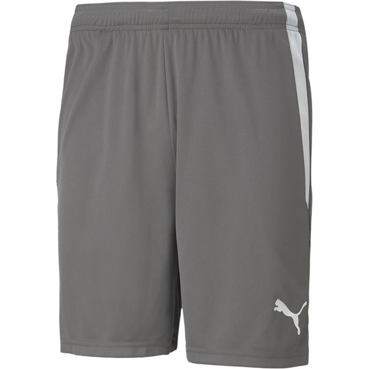 Puma Men's Grey Teamliga Shorts Football Short in Size 2XL, Sports Direct