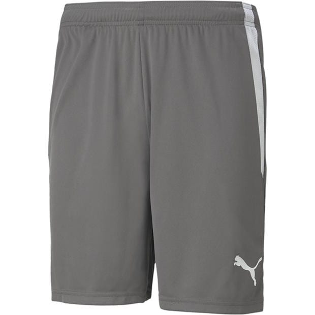 Smoke Pearl/Wht - Puma - Puma Teamliga Shorts Football Short Mens