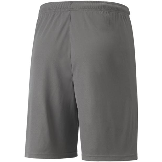 Smoke Pearl/Wht - Puma - Puma Teamliga Shorts Football Short Mens