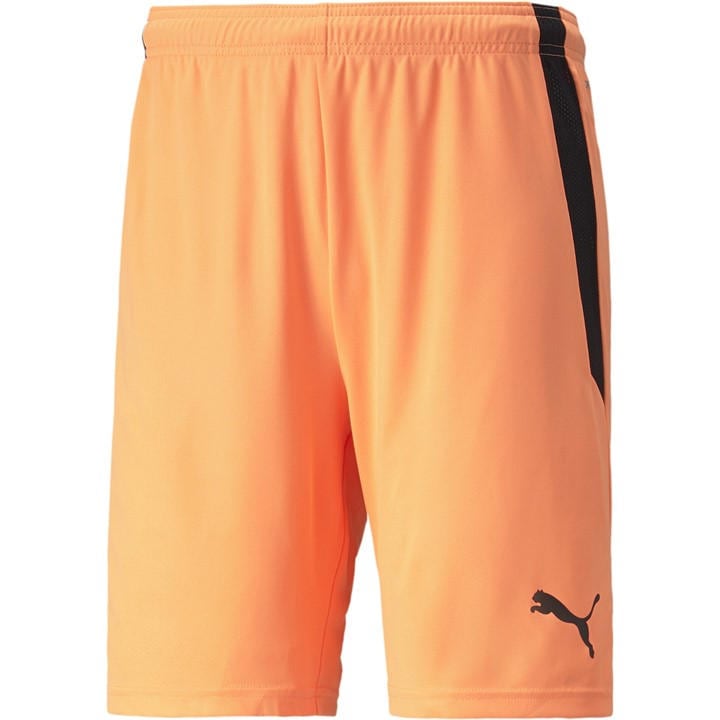 Puma Men's Orange Teamliga Shorts Football Short in Size L, Sports Direct