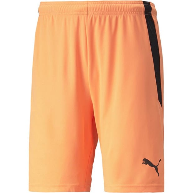 Neon/Black - Puma - Puma Teamliga Shorts Football Short Mens