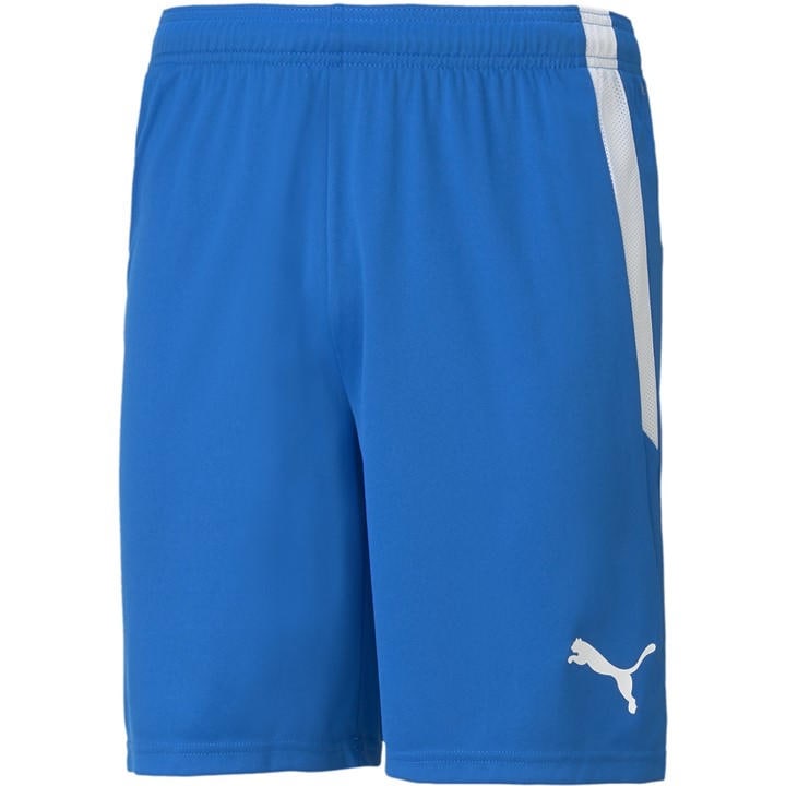 Puma Men's Blue Teamliga Shorts Football Short in Size XL, Sports Direct