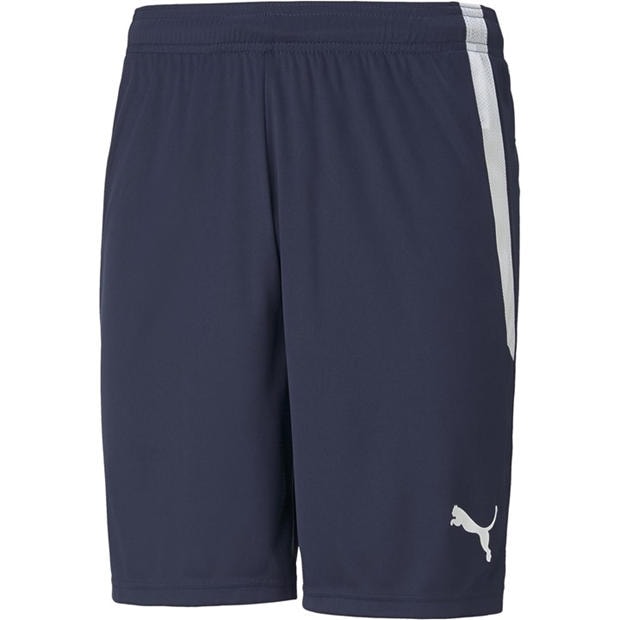 Peacoat/White - Puma - Puma Teamliga Shorts Football Short Mens