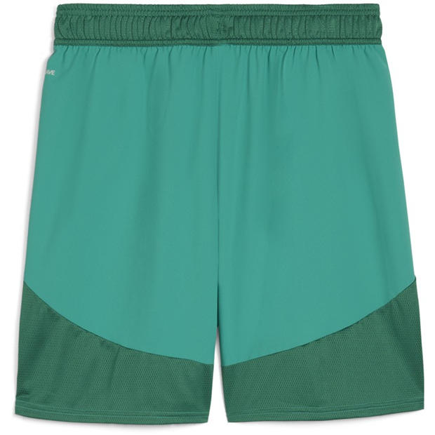 Sport Green/Wht - Puma - Puma Teamfinal Shorts Football Short Mens
