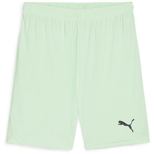 Puma - Puma Teamgoal Shorts Football Short Mens