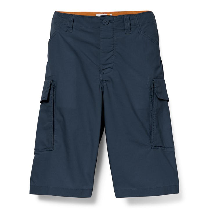 Timberland Men's Blue Cargo Shorts in Size 30 R, Sports Direct