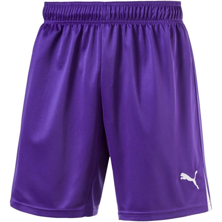 Puma Boys Purple (50) (Fb) Team Shorts  in Size 9 - 10 Years, Sports Direct