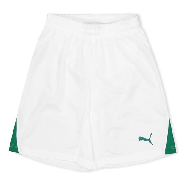 White - Puma - (F3) Fb Team Shorts With Brief Juniors