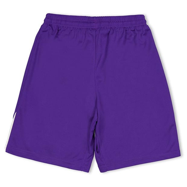 Purple - Puma - (F3) Fb Team Shorts With Brief Juniors
