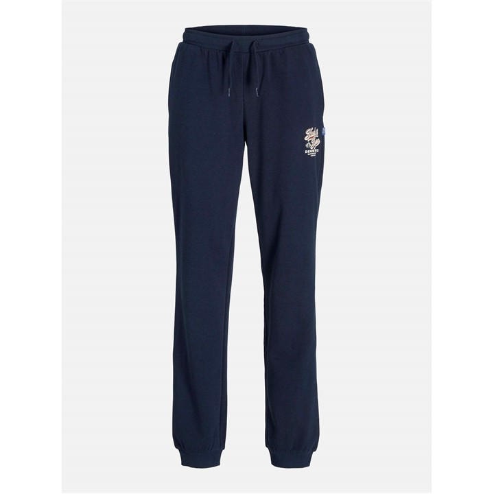 Jack And Jones Boys Blue Colour Logo Joggers Junior