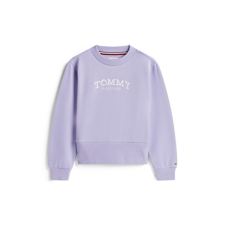 Tommy Hilfiger Girls Blue Kids' Crew Sweatshirt