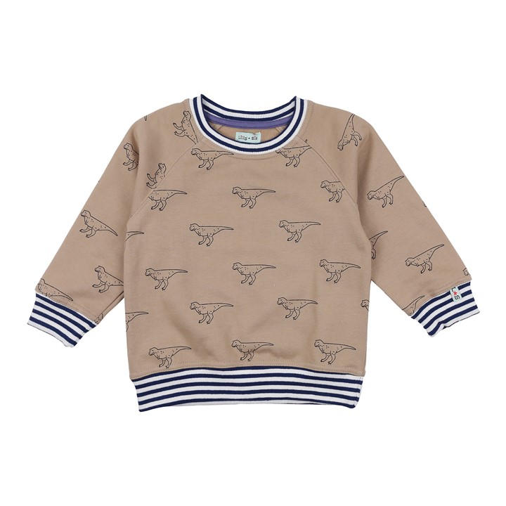 Lilly And Sid Boys Brown Dinosaur Print Crew Sweatshirt in Size 9 - 10 Years, Sports Direct