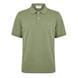 Herb Green 379
