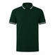 Dark Green 348