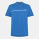 Royal Blue 490