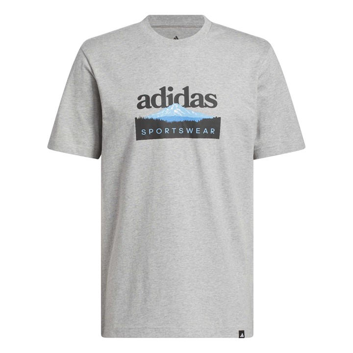 Adidas Men's Grey Graphic Logo T-Shirt
