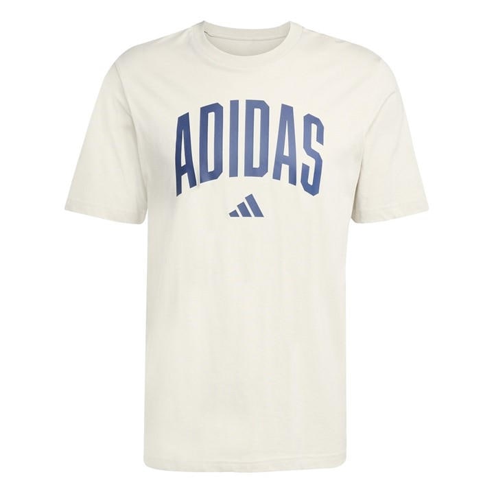 Adidas Men's Grey Graphic Logo T-Shirt