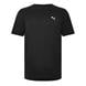 Puma Black