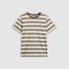 Stripe Green