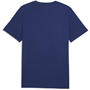 Blue Jewel - Puma - Puma graph Packet T Sn63