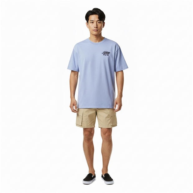 Glacial Slate - Vans - Men's Awakened T-Shirt