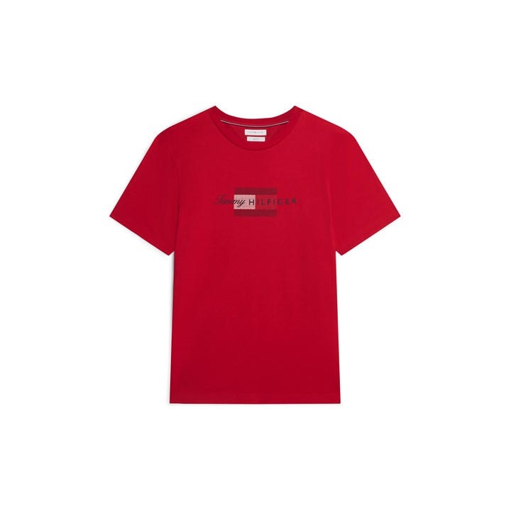 Tommy Hilfiger Men's Red T-Shirt in Size XL, Sports Direct